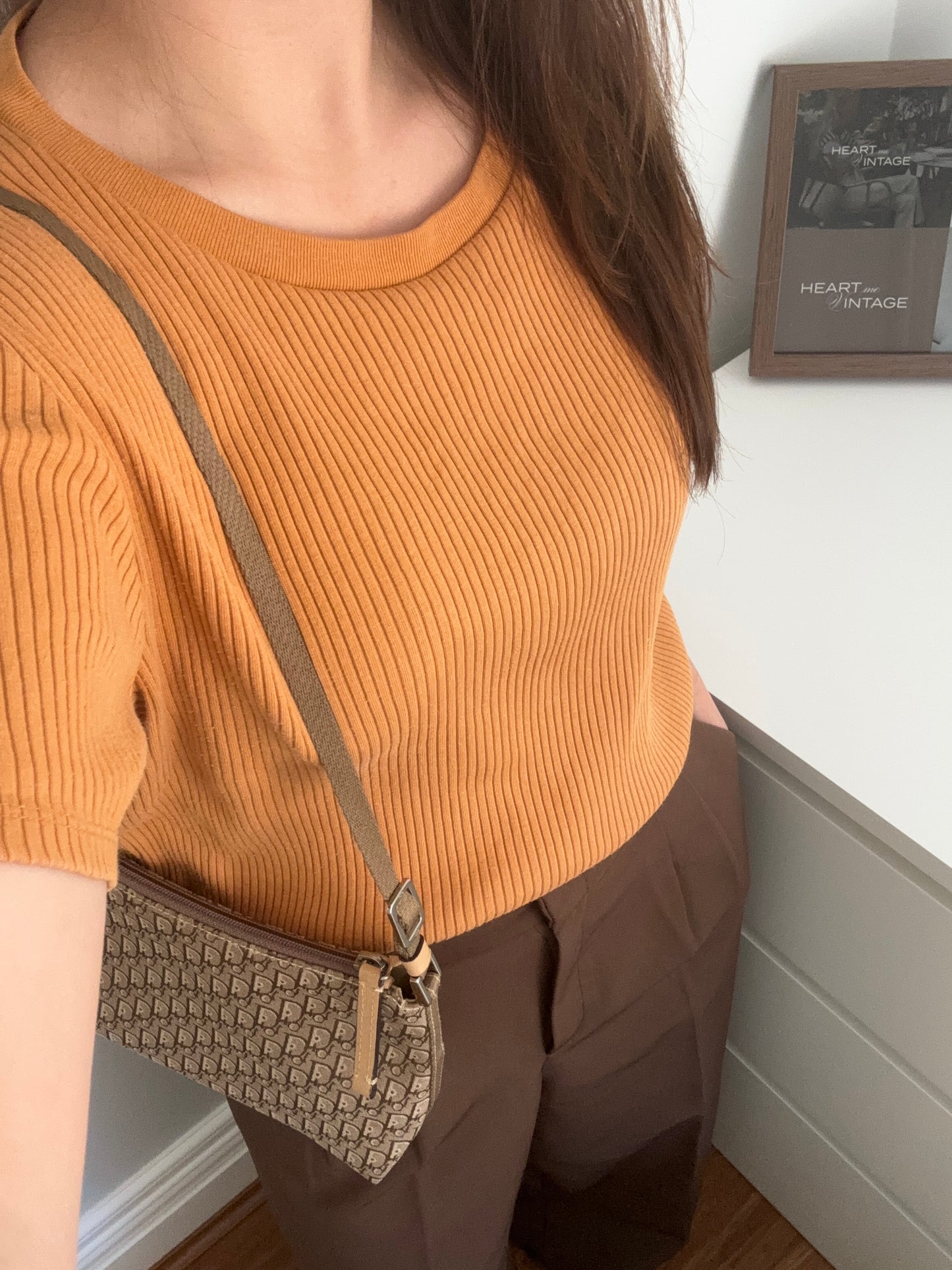 Christian Dior Brown Oblique Trotter Pochette Bag (2004 Collection)