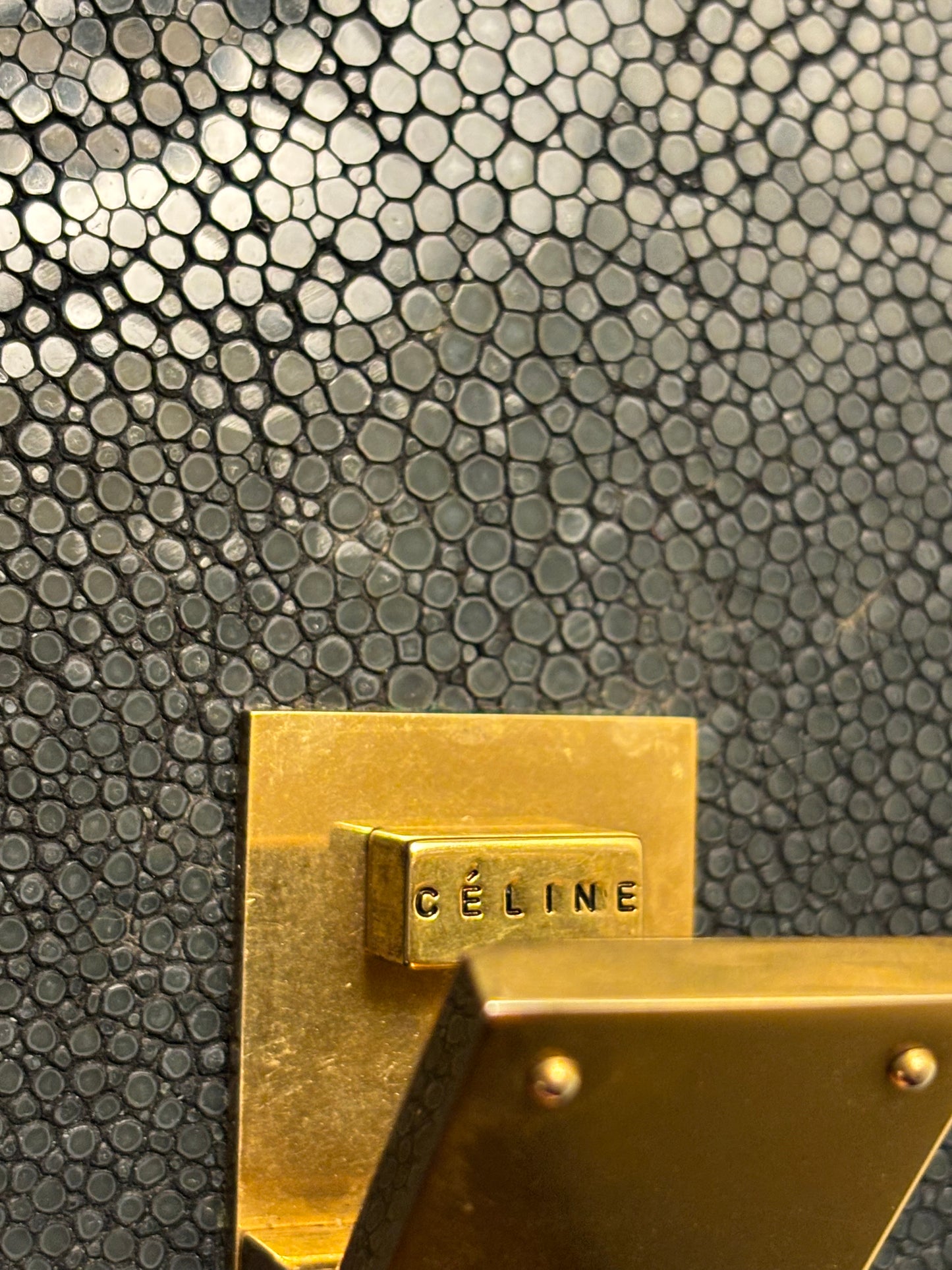 Celine Teen Box Bag in Stingray Leather *RARE*