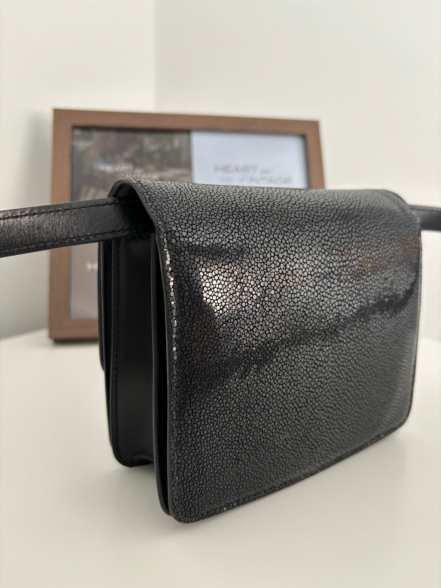 Celine Teen Box Bag in Stingray Leather *RARE*