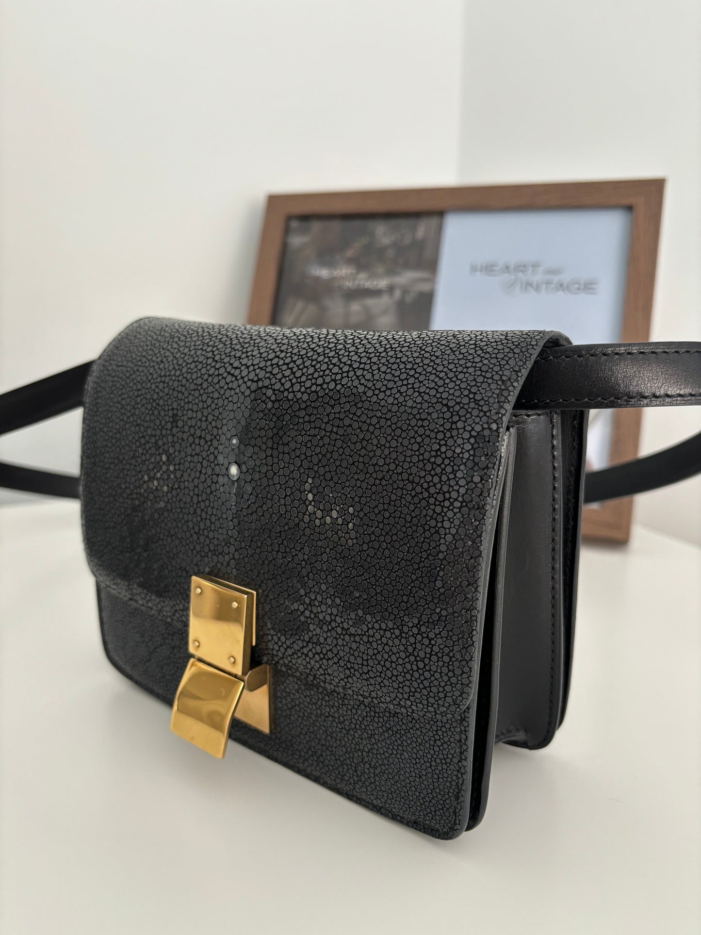 Celine Teen Box Bag in Stingray Leather *RARE*