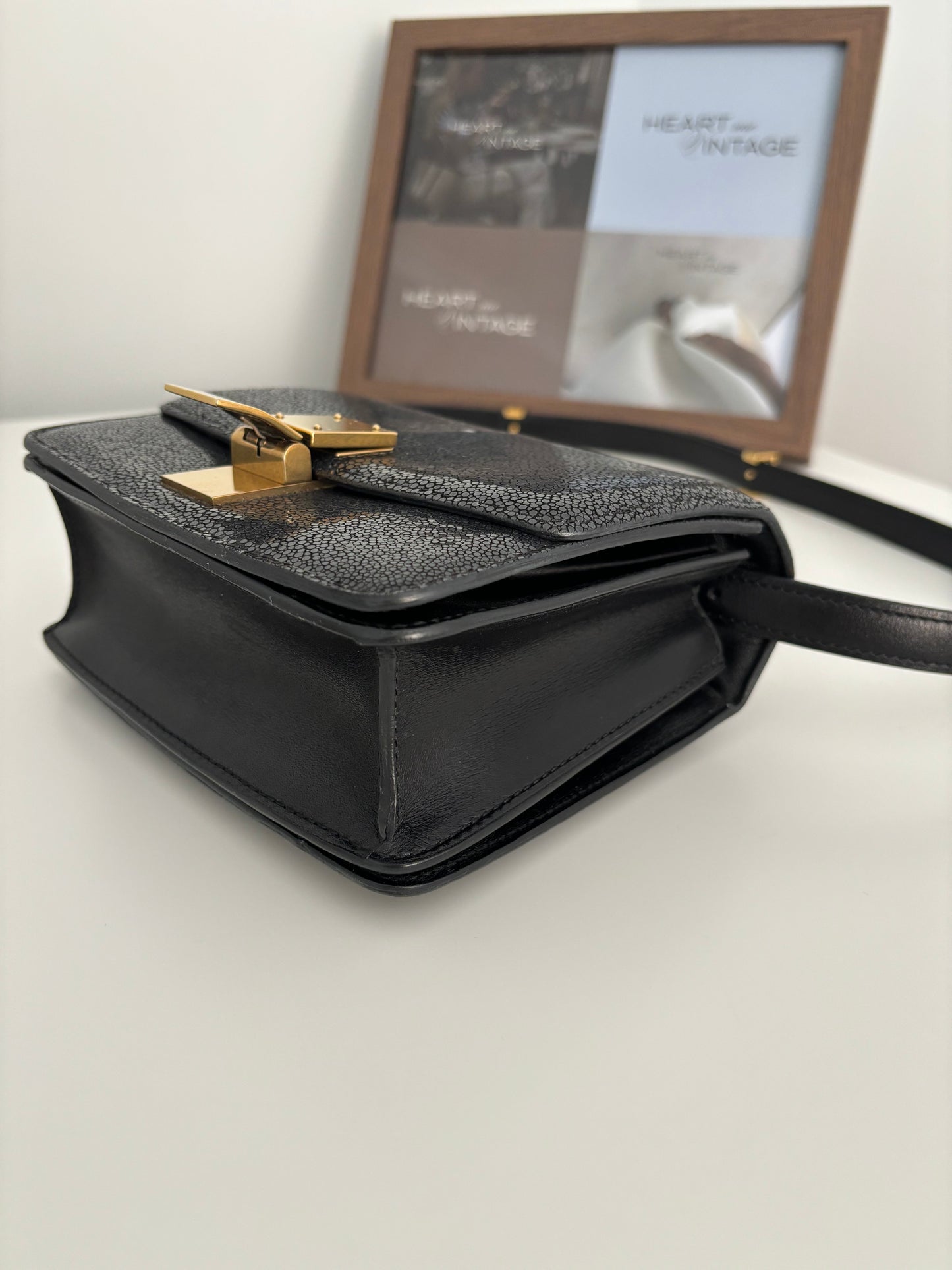 Celine Teen Box Bag in Stingray Leather *RARE*